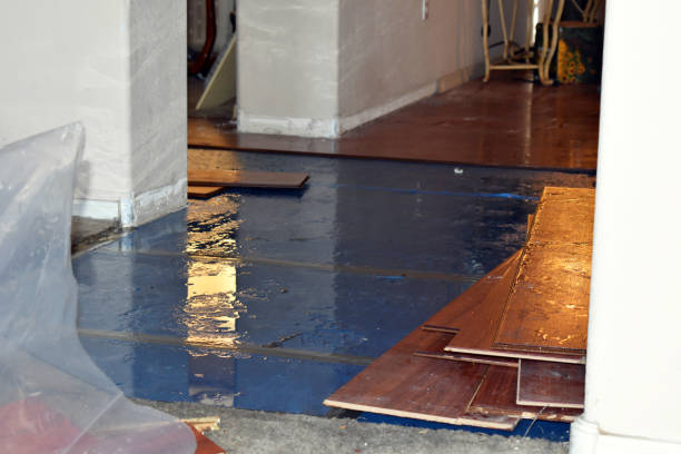Professional Basement Flood Cleanup technician working in Croydon, PA